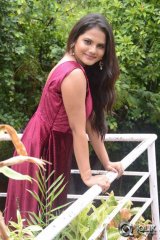 Priyanka At Lovers Park Movie Opening